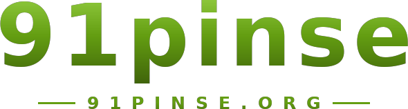 91pinse logo